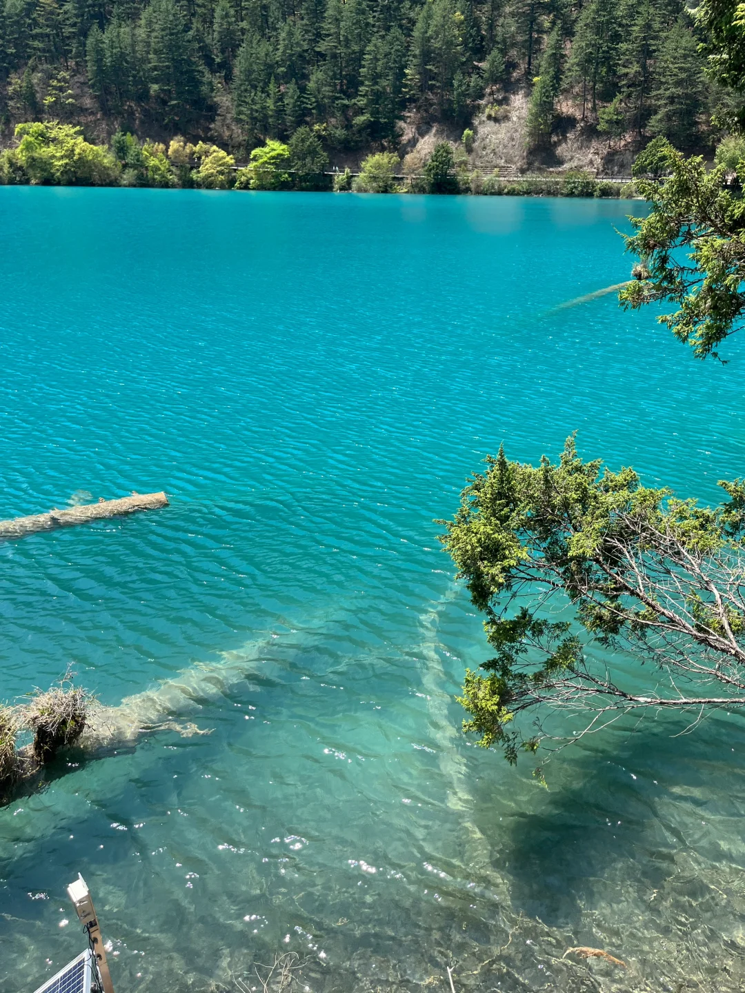 无锡-九寨沟2天攻略｜5.3体验感很好