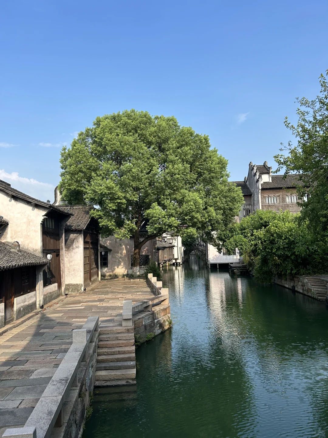 一不小心到了“真江南”———乌镇