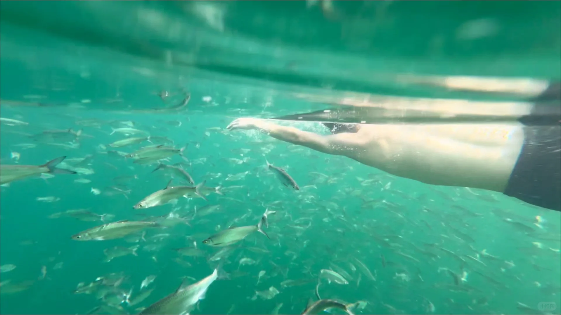 这个小众神仙小县城,让我特地去了两趟广西