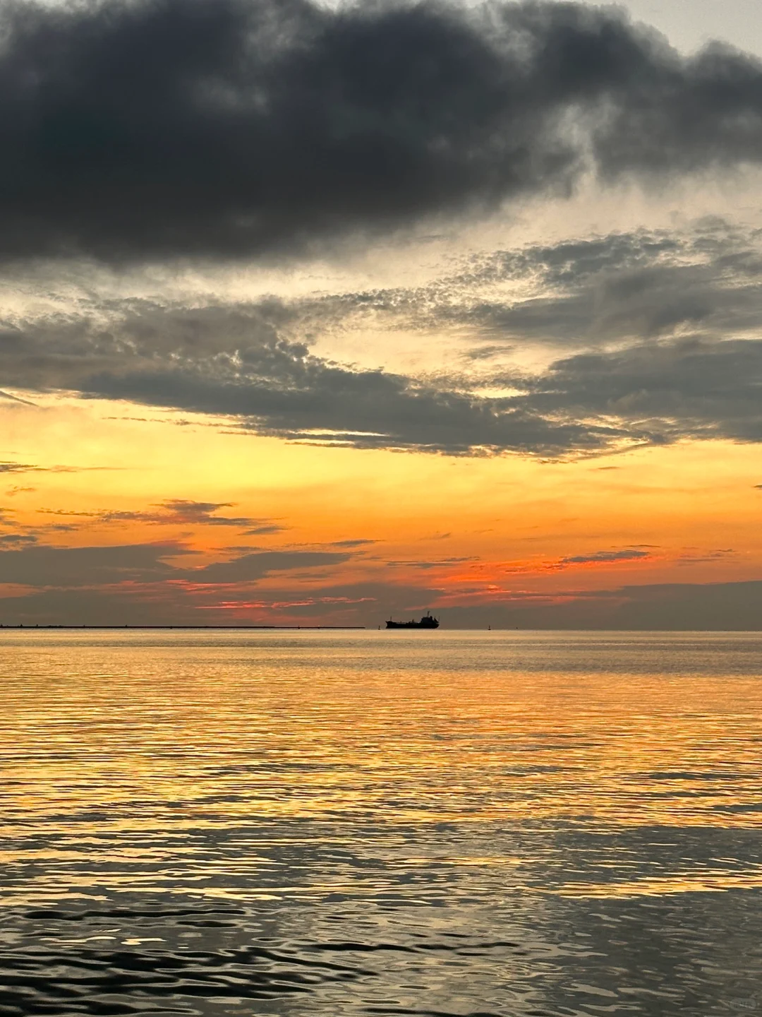 海口已回！！！真心提醒5-6月要去的姐妹………😰