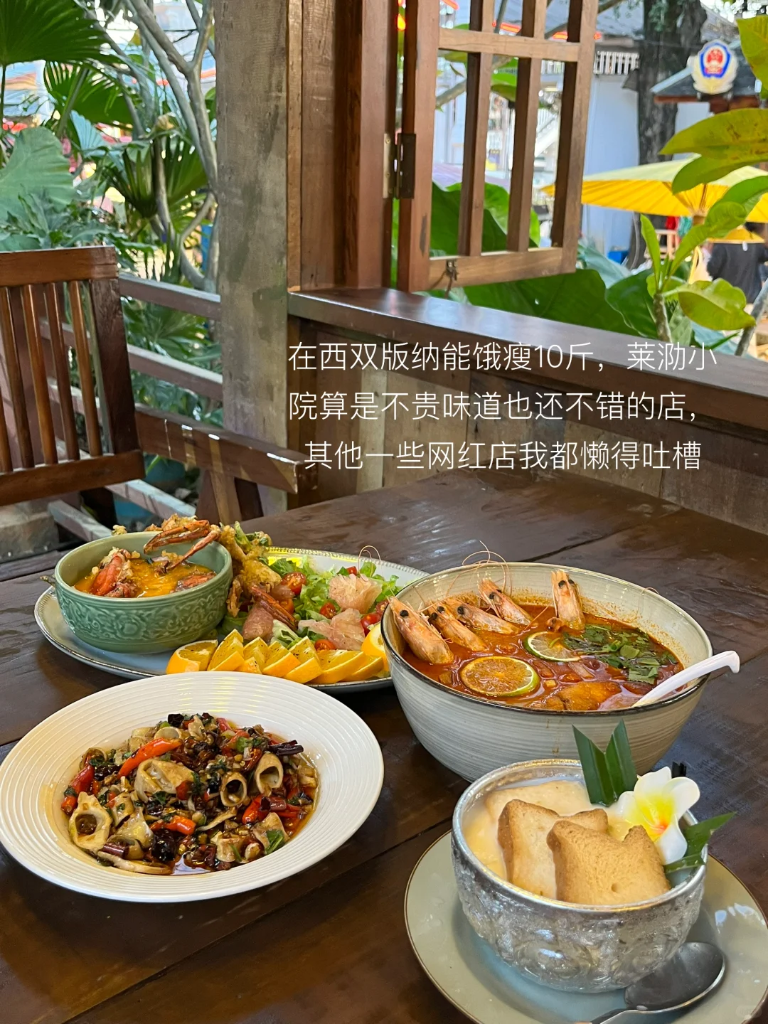 西双版纳 | 度假plog🌴