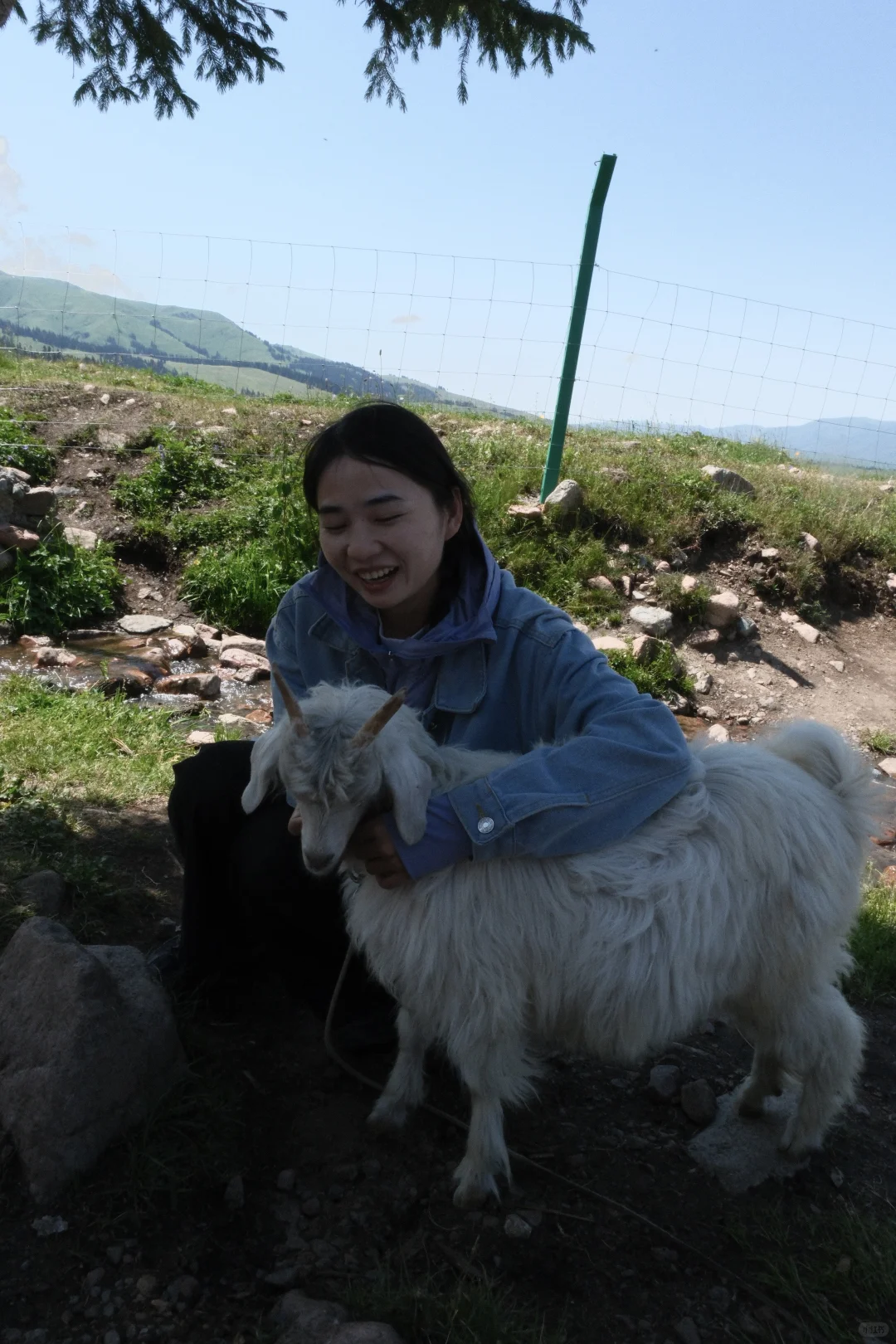 新疆｜草原美景美不胜收应接不暇