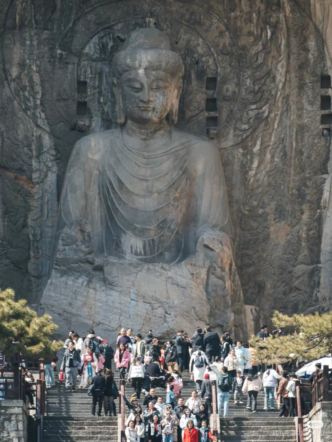 洛阳必游九大景点攻略❗❗ 洛阳旅游必看❗