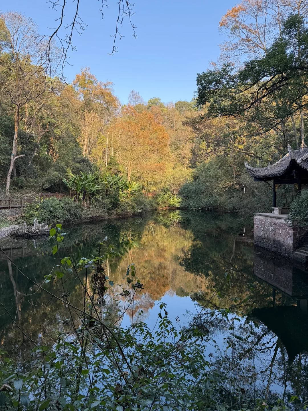 一图教你不走回头路走遍桃花源，只需2h（上）