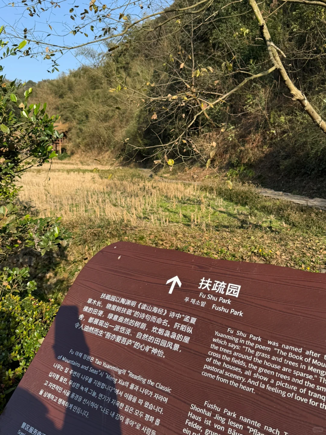 一图教你不走回头路走遍桃花源，只需2h（上）