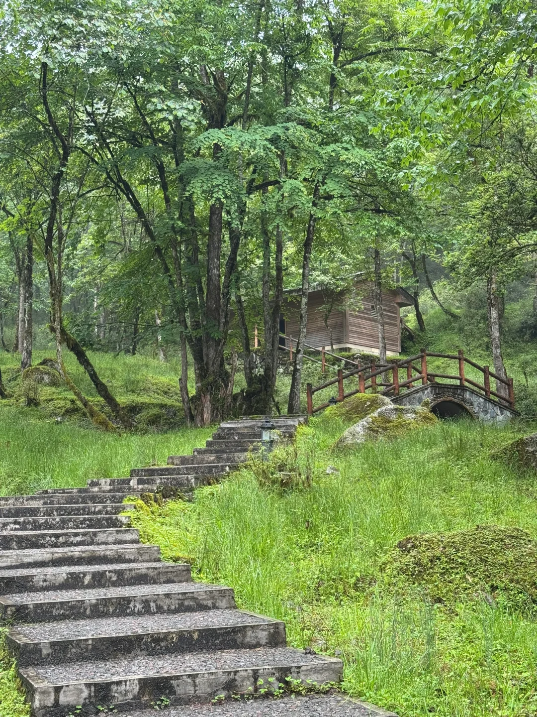 冷到打摆子的避暑地！现在人还不多！快冲！