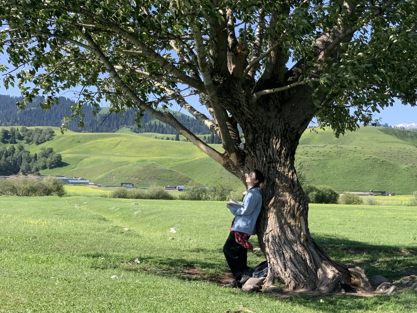 新疆｜草原美景美不胜收应接不暇