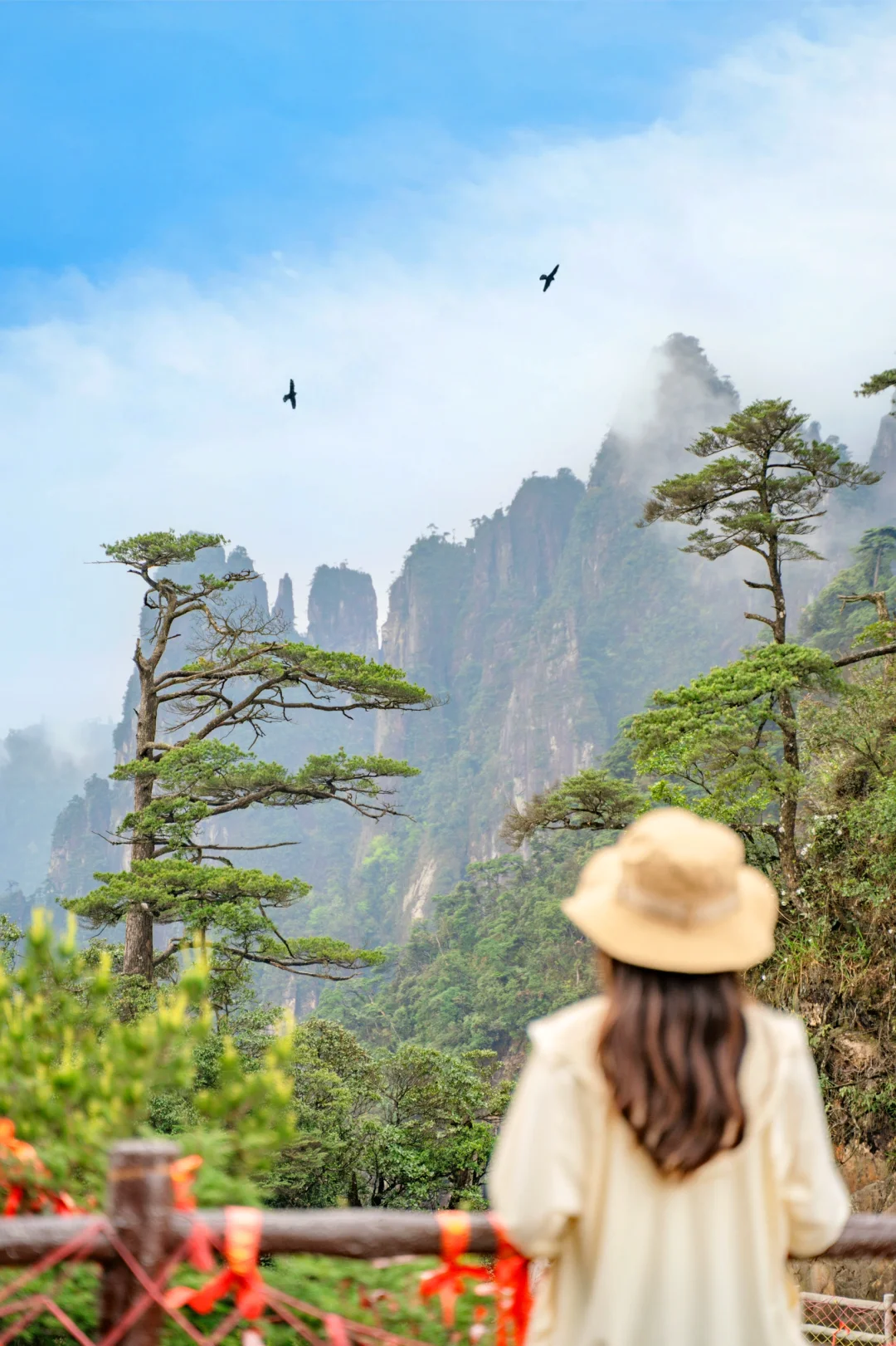 比起张家界,我更爱这座云端上的奇峰异石!