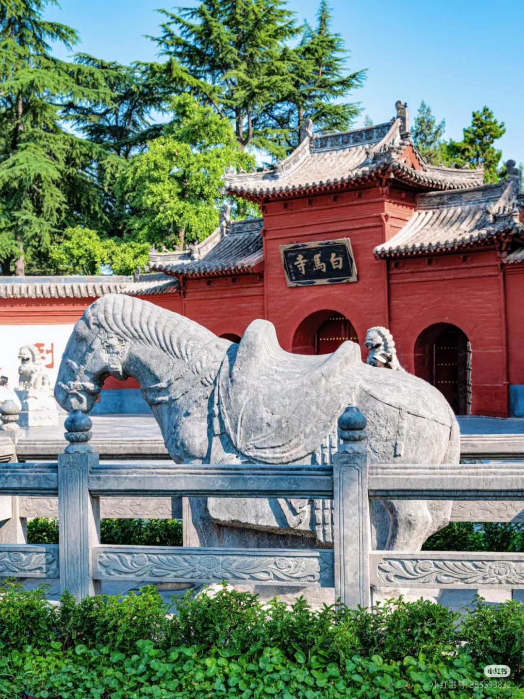 洛阳必游九大景点攻略❗❗ 洛阳旅游必看❗