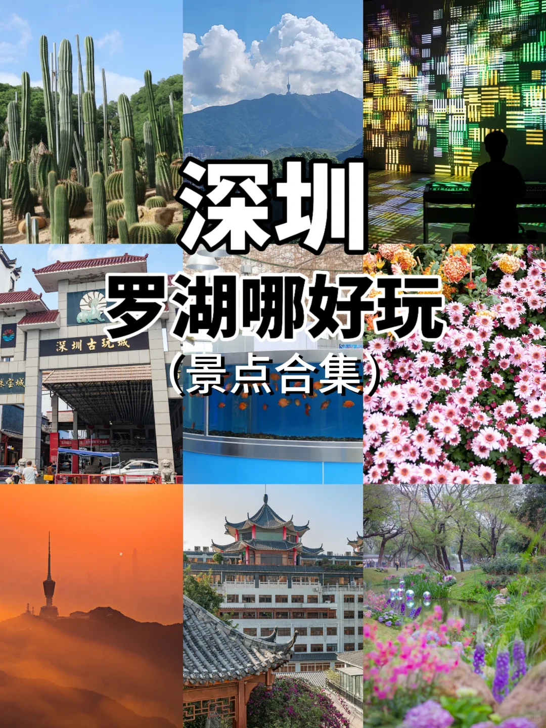 ‌深圳罗湖去哪里玩（景点合集）