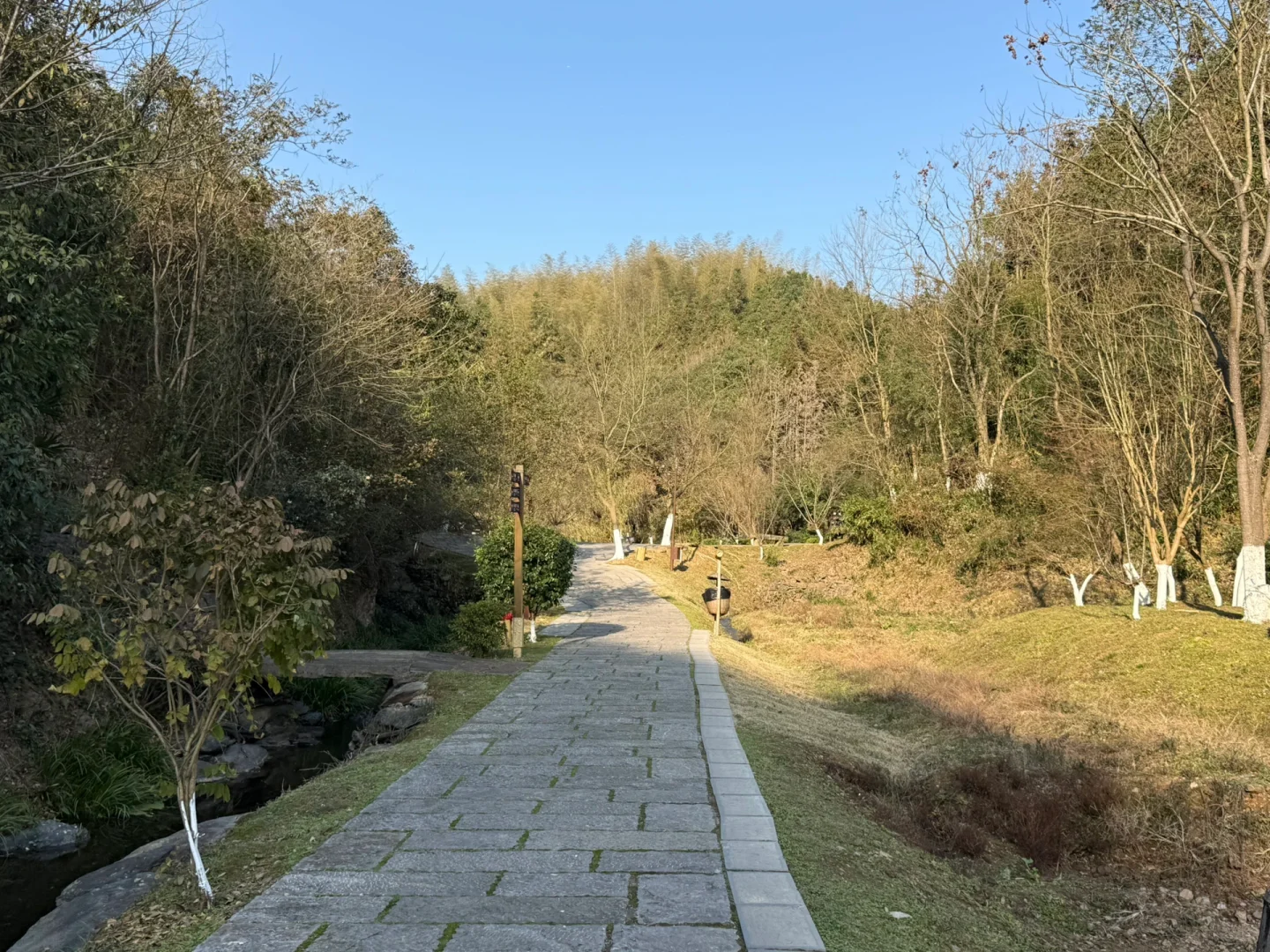 一图教你不走回头路走遍桃花源，只需2h（上）