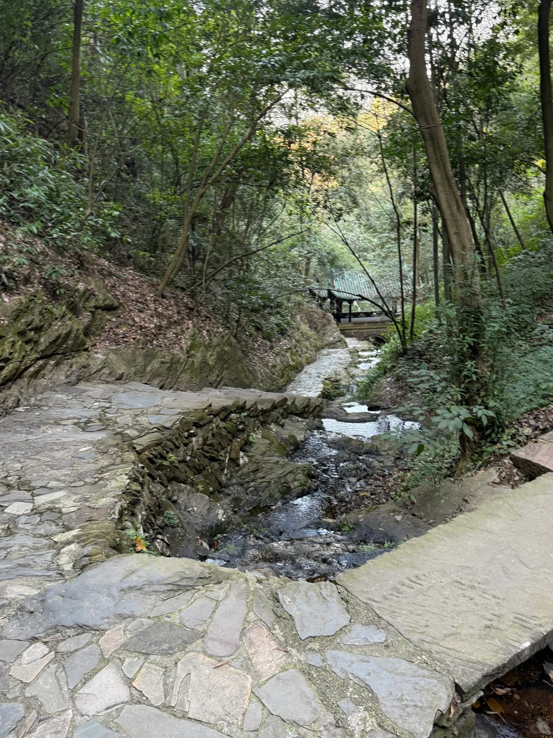 一图教你不走回头路走遍桃花源，只需2h（上）