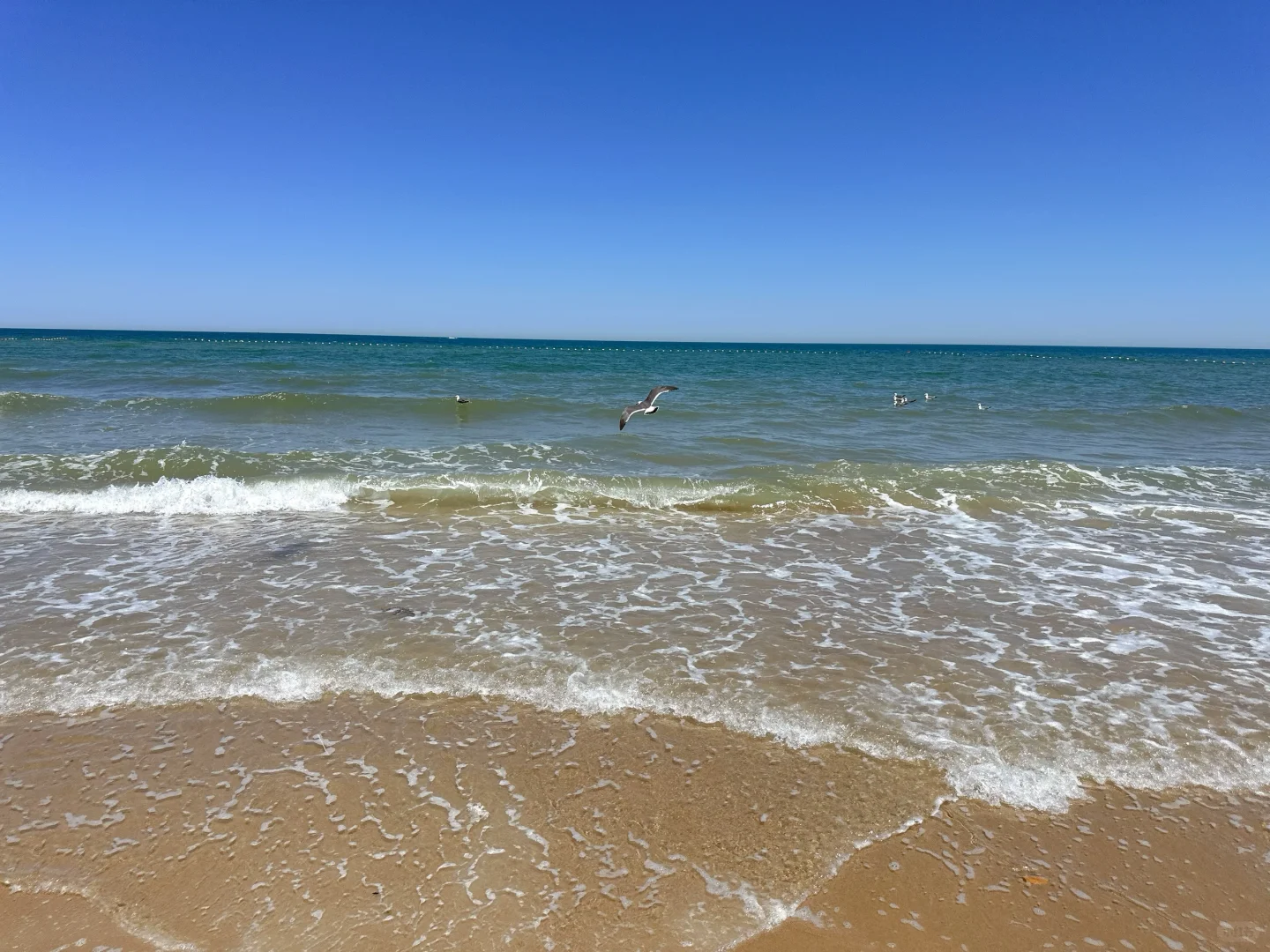 山东威海·亲子游 四天三晚(上篇)