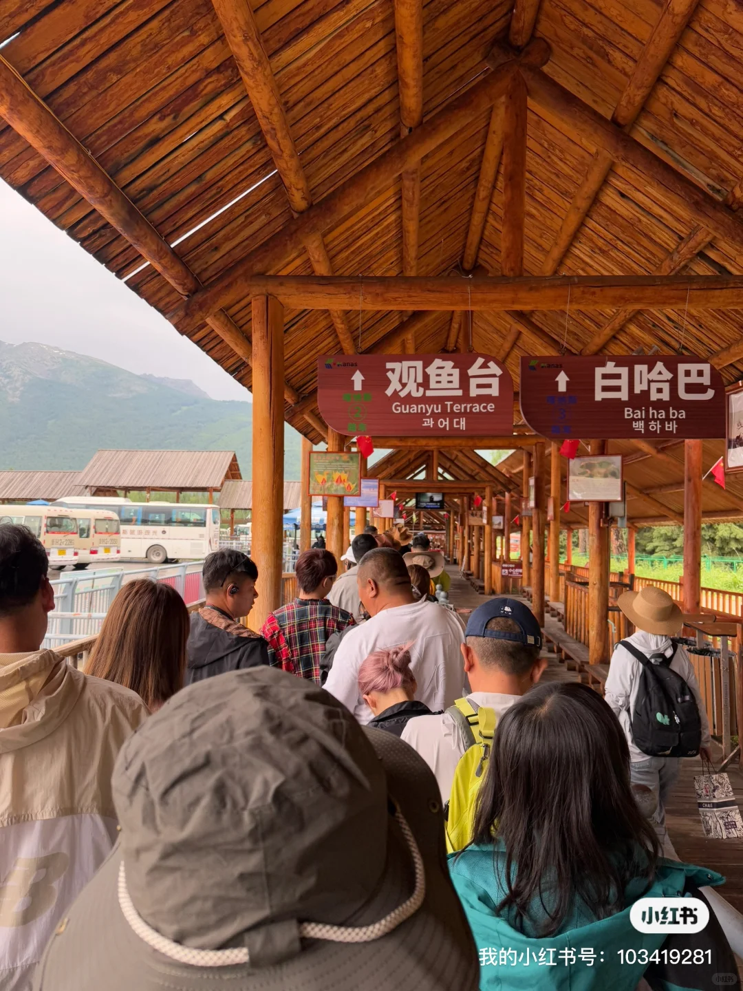 🔥史上最强喀纳斯景区游玩攻略（小红书隐藏