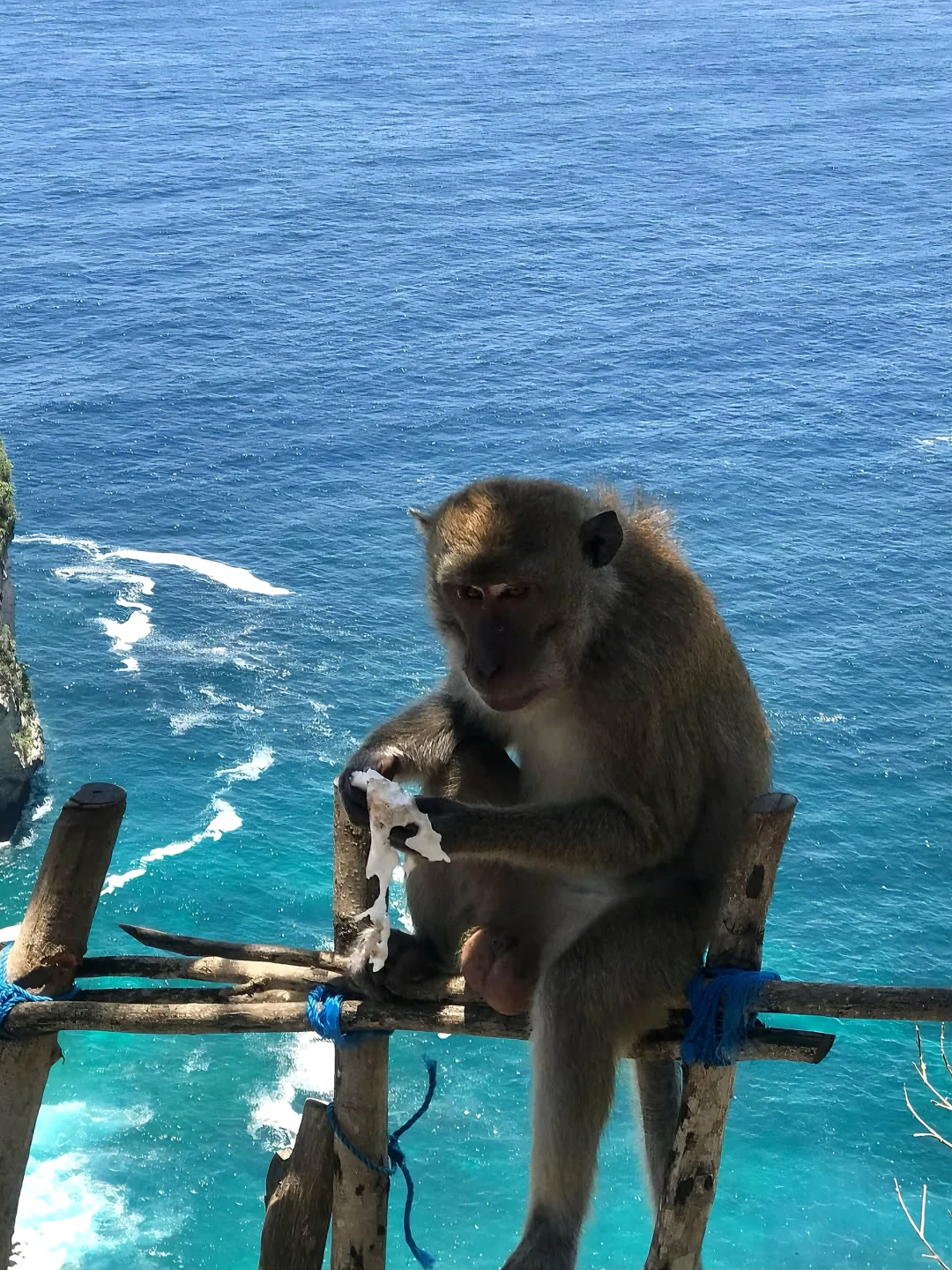 来巴厘岛玩不想踩雷❓这篇必须🐎住了