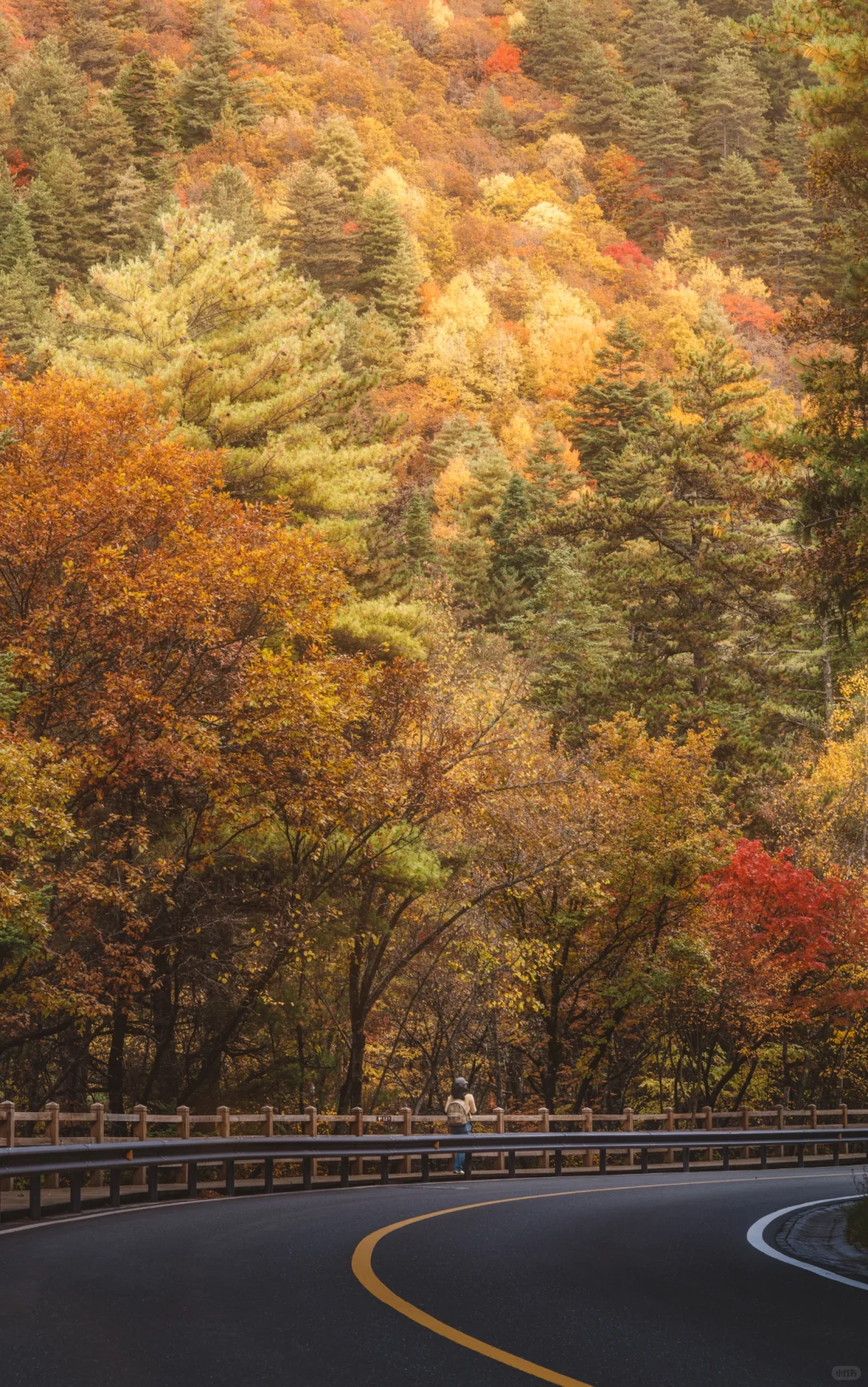 原来不用去国外，这些世界级风景国内就有