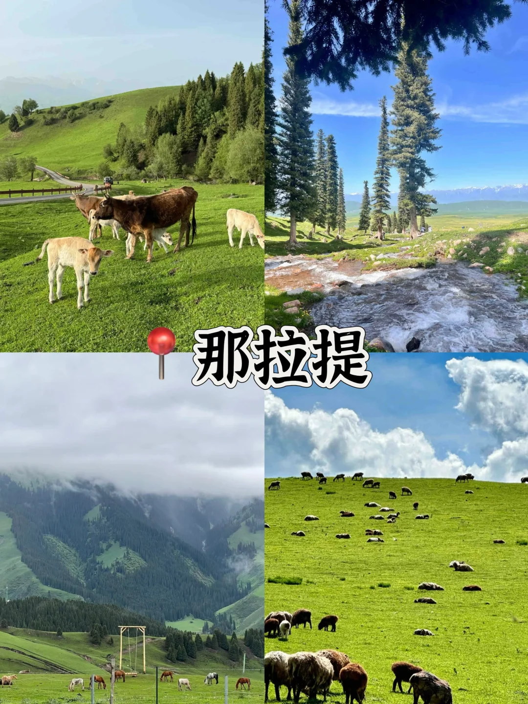 🔥新疆必去十大景点游玩攻略‼️特别是6-8月