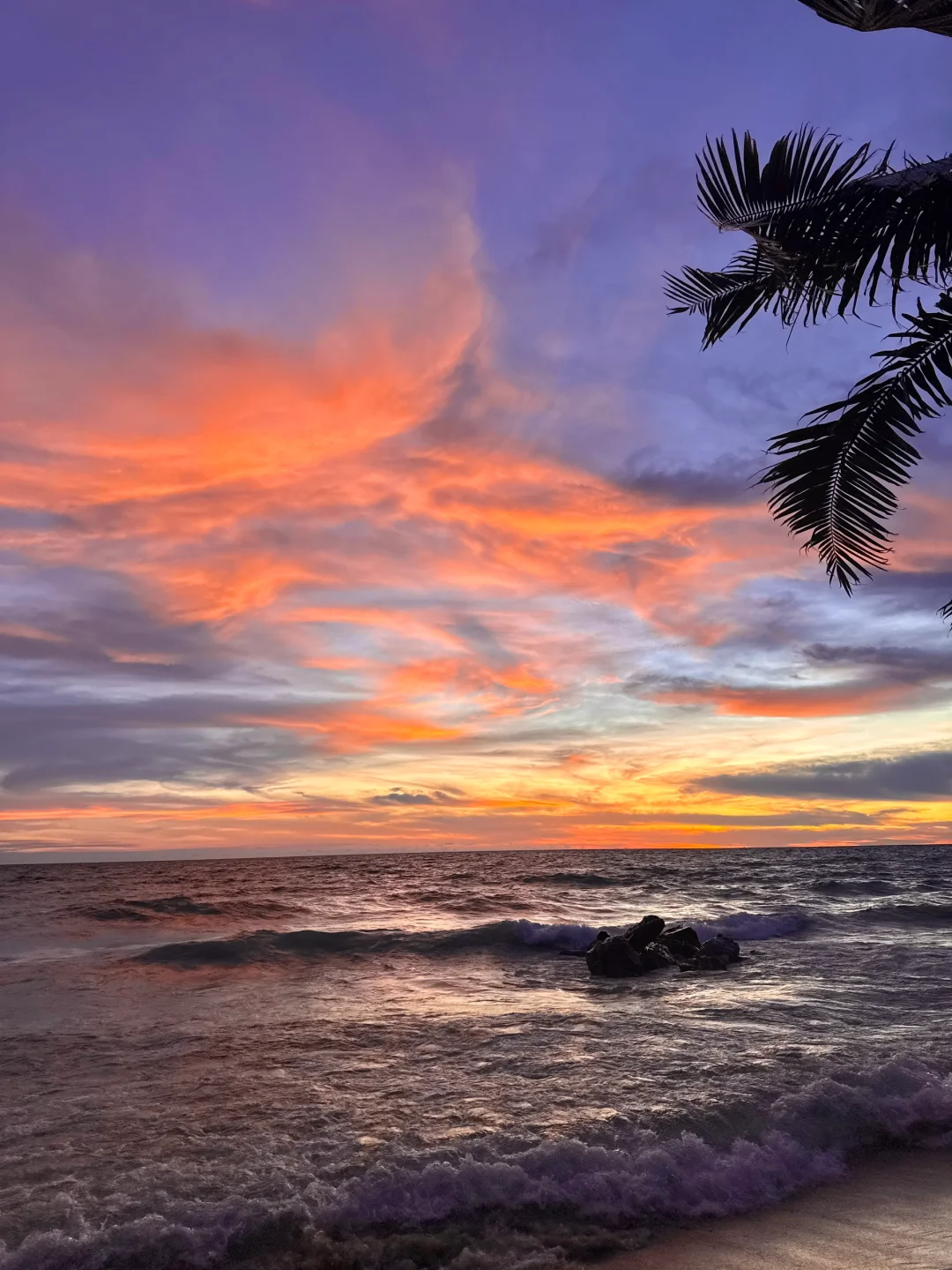 广州打工人挑战每周出去玩第8️⃣站：富国岛！！