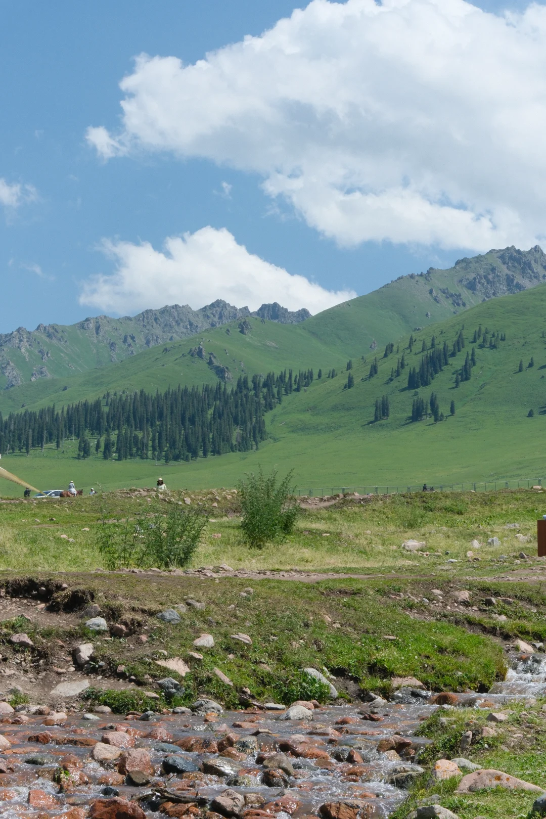 新疆｜草原美景美不胜收应接不暇