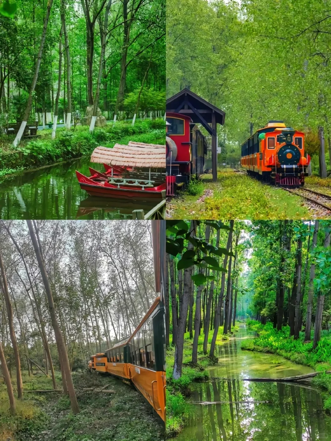 合肥必去十大景点❗️新手必看❗️❗️附旅游攻略