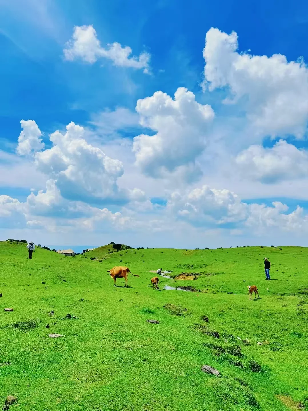 国内7-8月，10个凉快的避暑胜地推荐！!