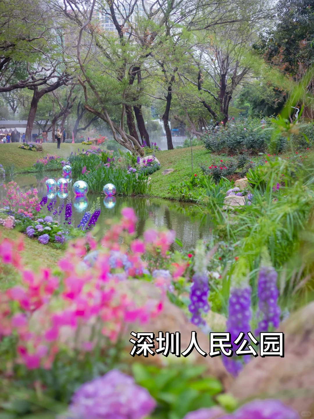 ‌深圳罗湖去哪里玩（景点合集）