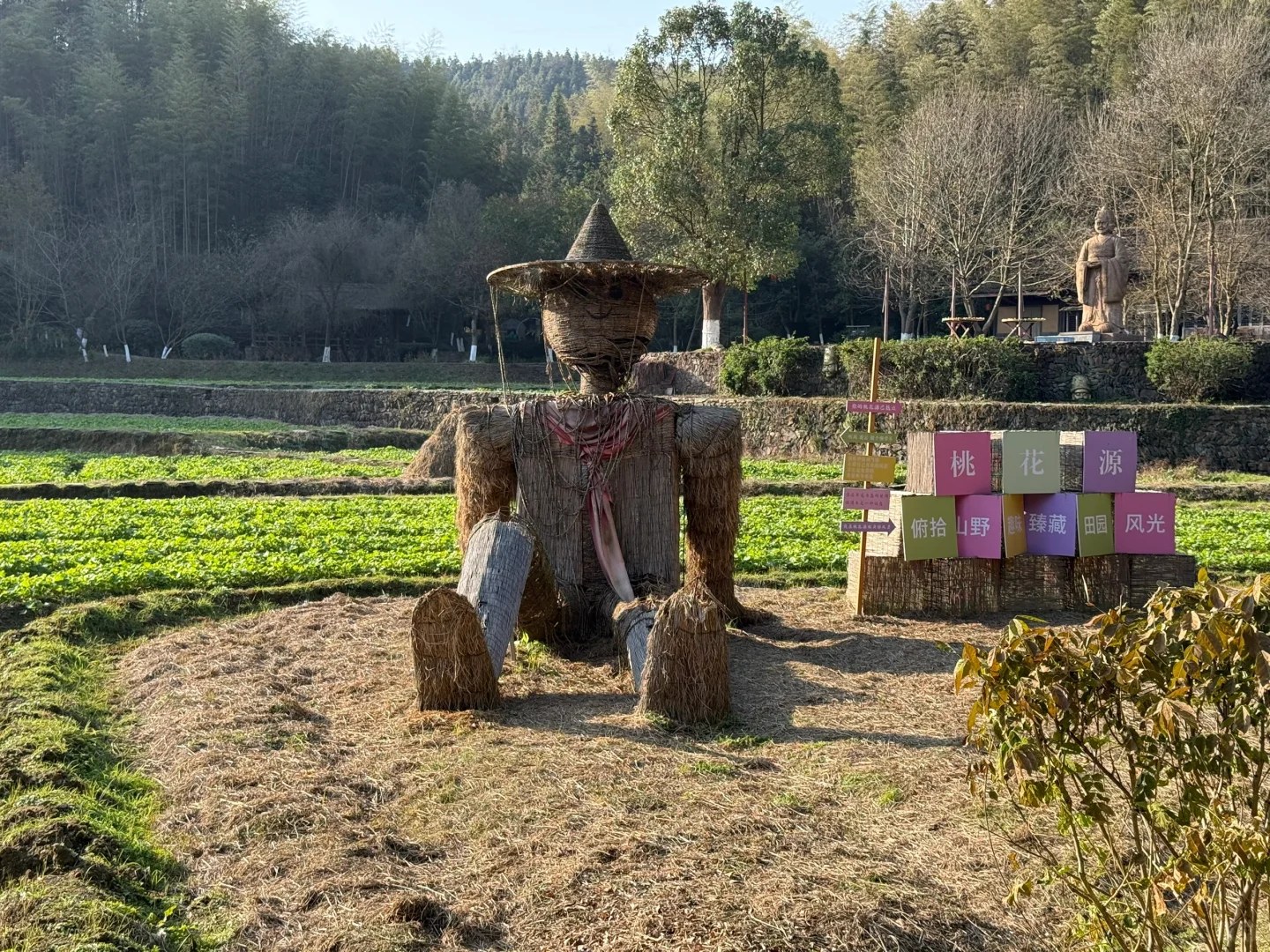 一图教你不走回头路走遍桃花源，只需2h（上）