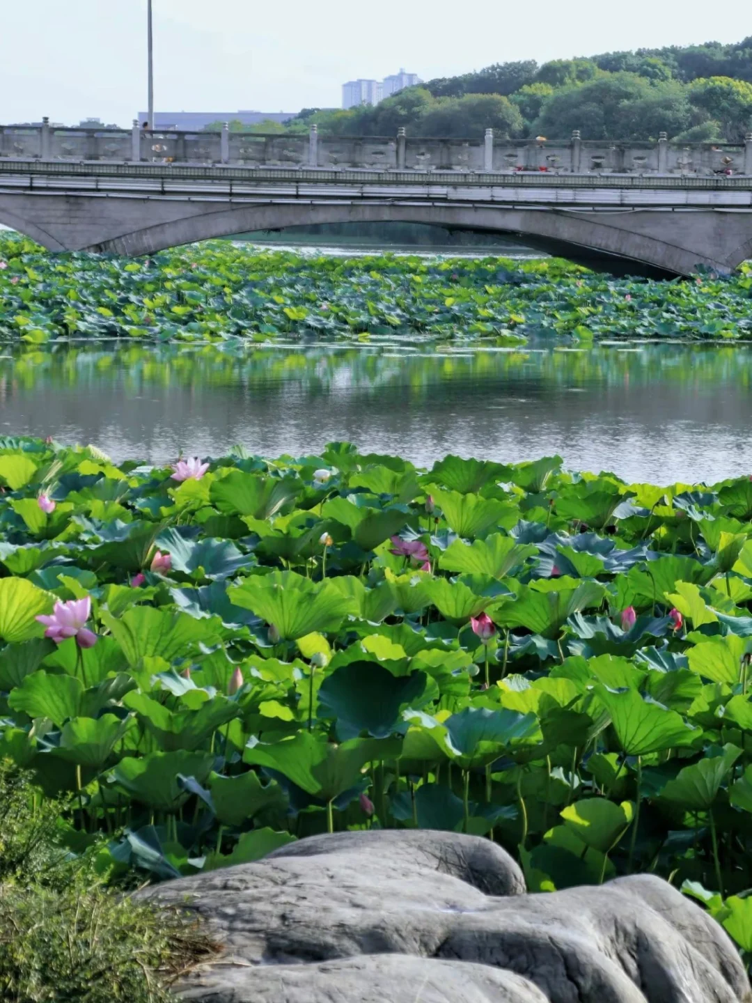 合肥必去十大景点❗️新手必看❗️❗️附旅游攻略