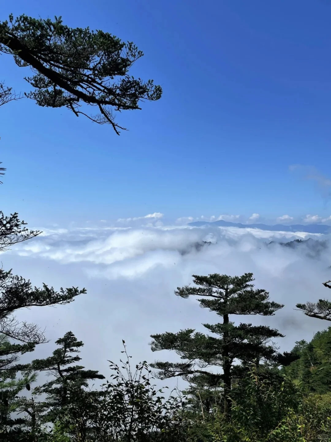 🔥西安旅游超全攻略｜20个必玩景点+20个避雷