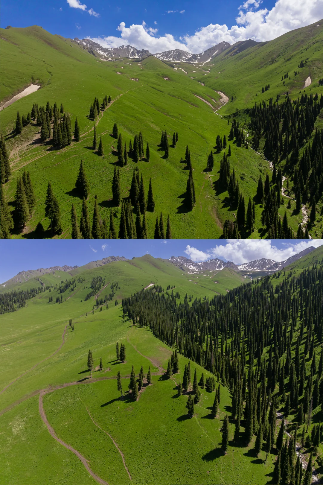 那拉提景区全网最全保姆级攻略