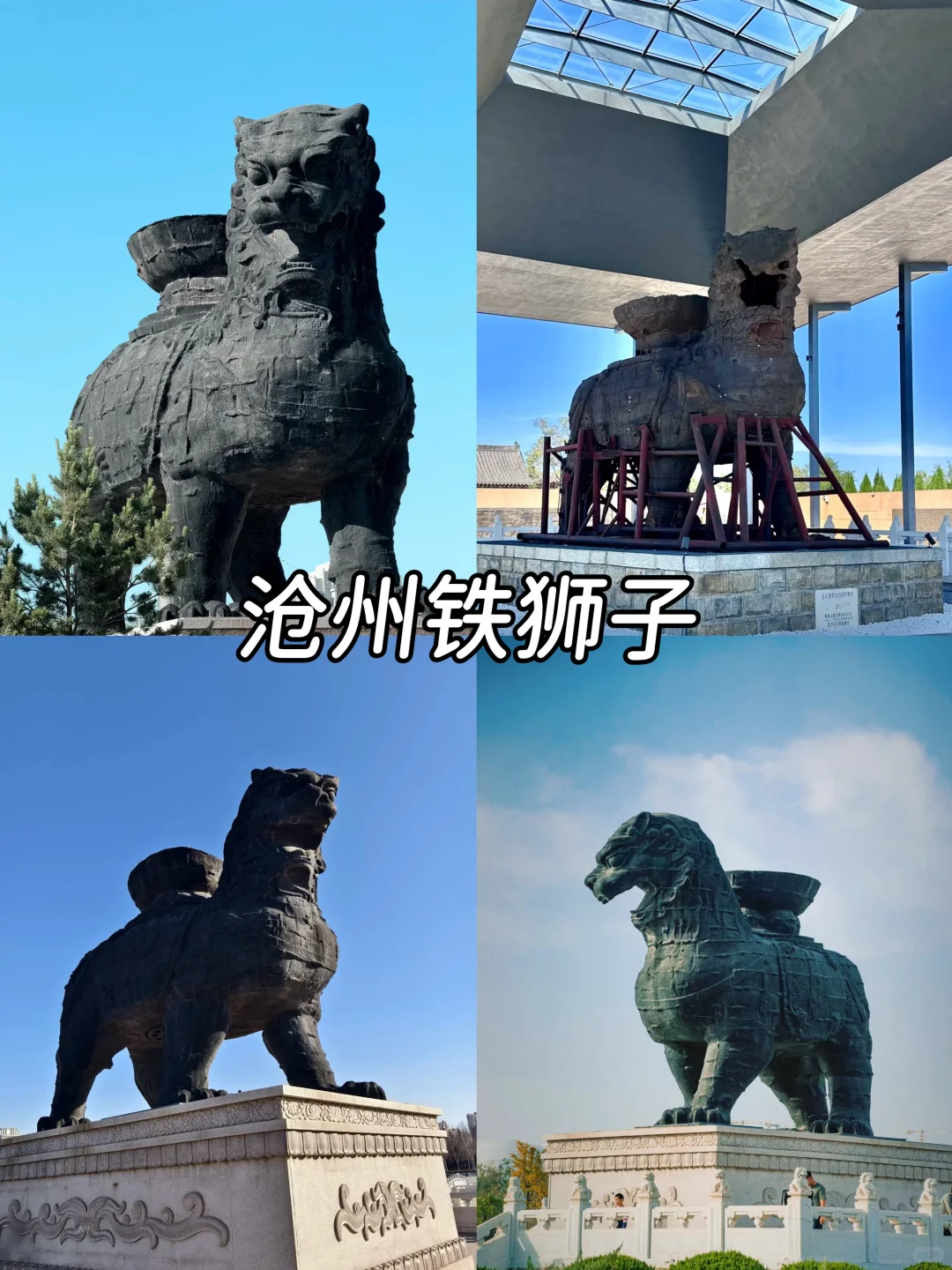 沧州旅游，一定要去的9大景点