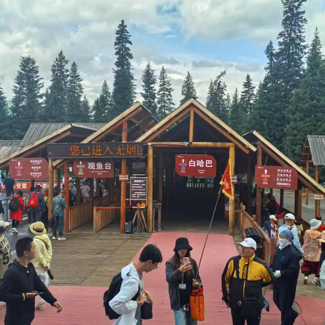 🔥史上最强喀纳斯景区游玩攻略（小红书隐藏