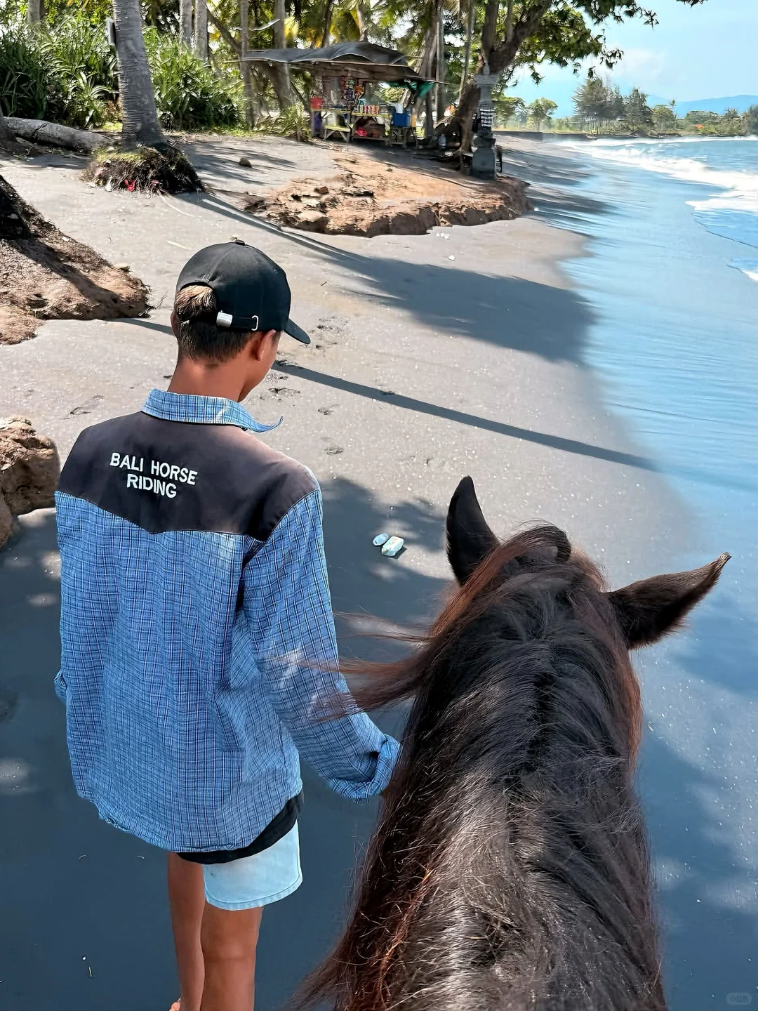 来巴厘岛玩不想踩雷❓这篇必须🐎住了