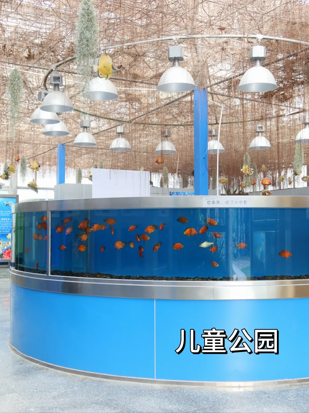 ‌深圳罗湖去哪里玩（景点合集）