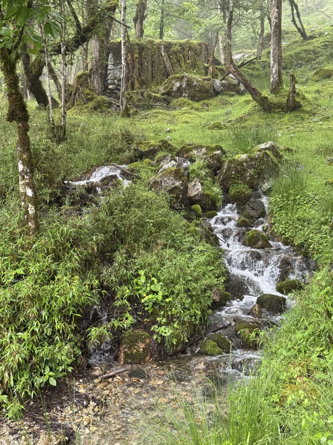 冷到打摆子的避暑地！现在人还不多！快冲！