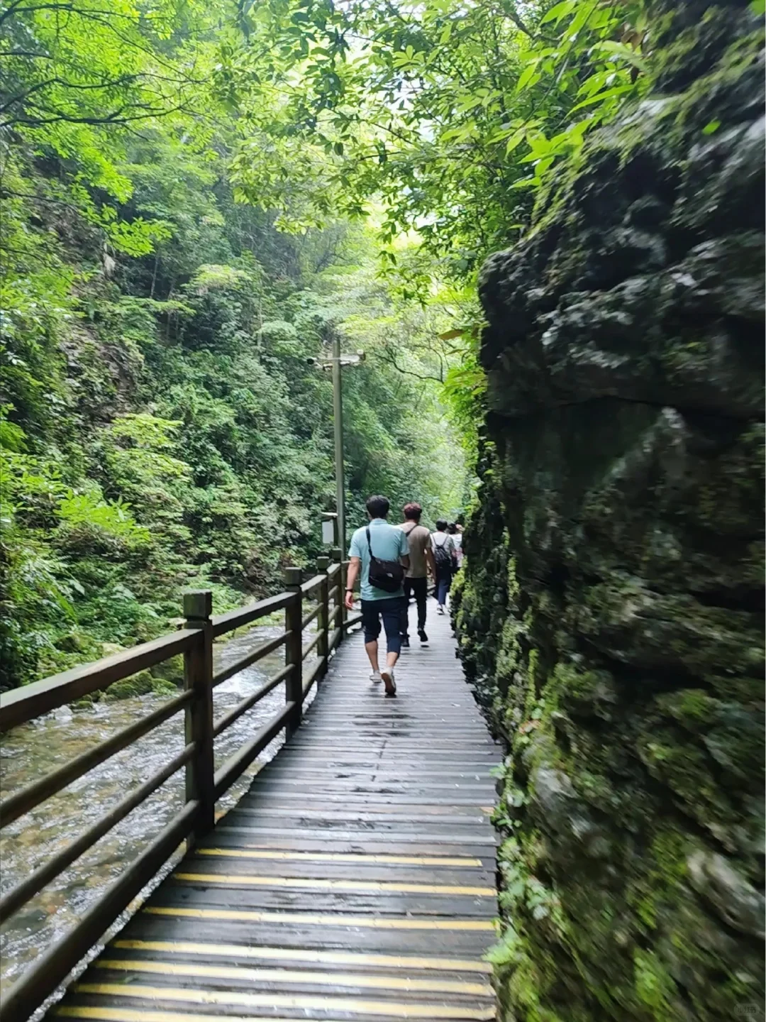 🔥张家界3天2晚攻略被我玩明白了！