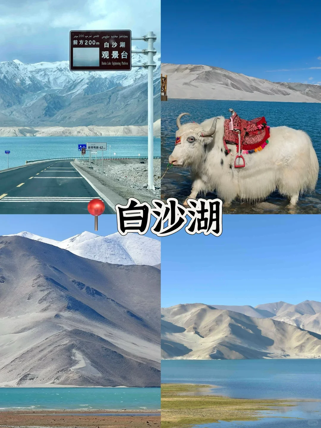 🔥新疆必去十大景点游玩攻略‼️特别是6-8月