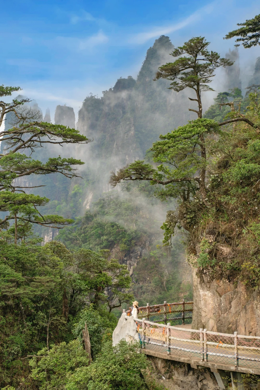 比起张家界,我更爱这座云端上的奇峰异石!