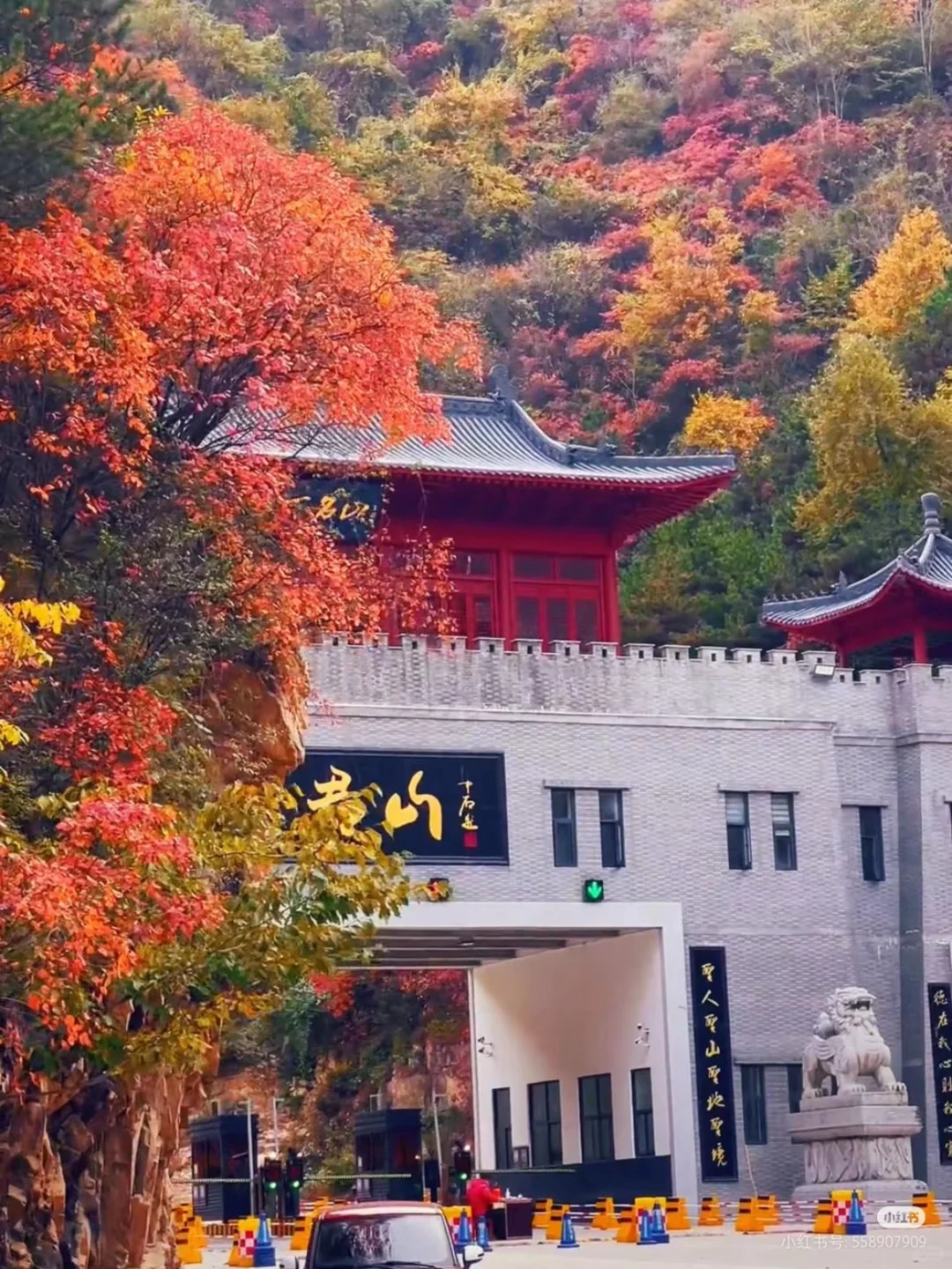 洛阳必游九大景点攻略❗❗ 洛阳旅游必看❗