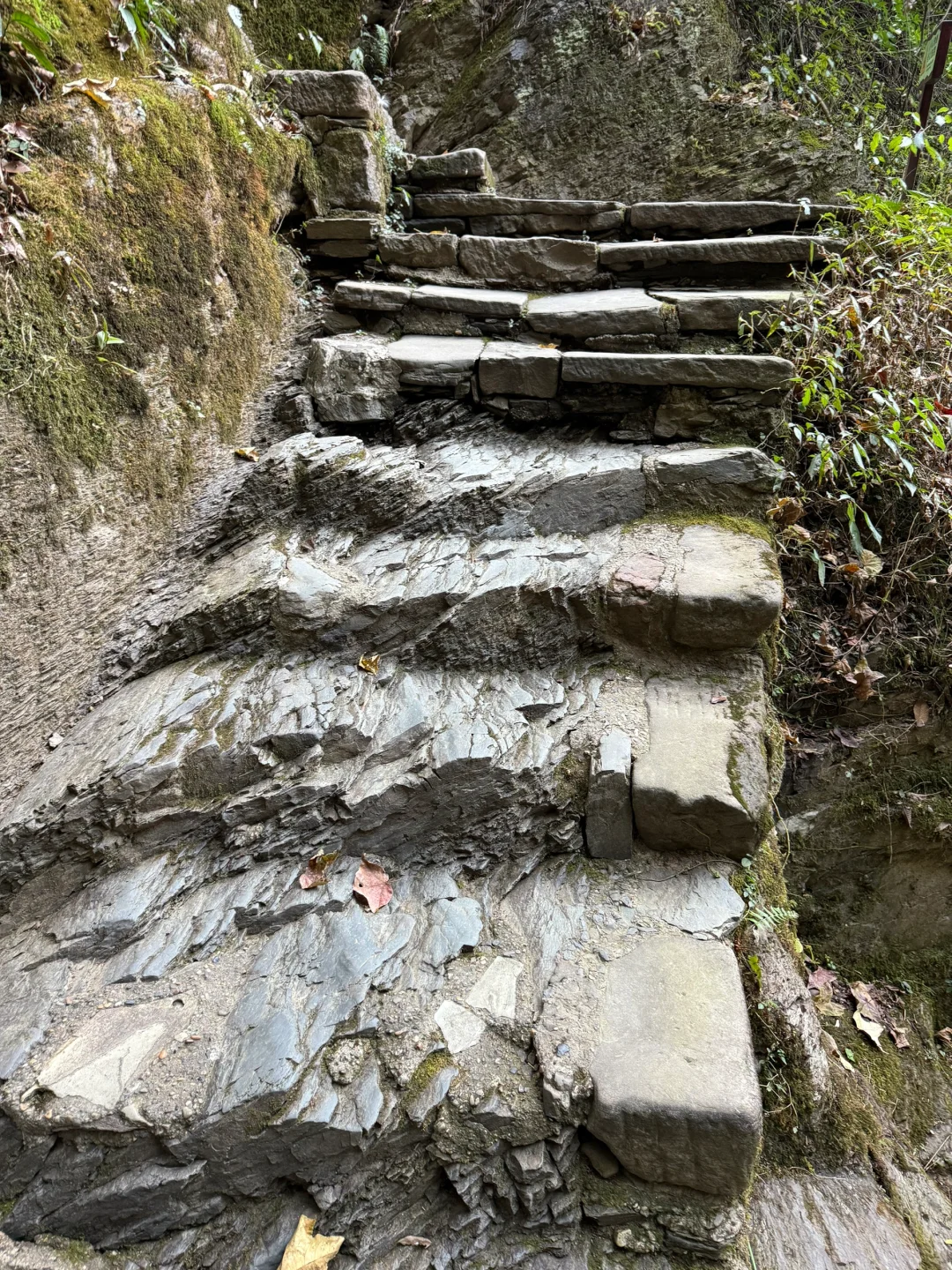 一图教你不走回头路走遍桃花源，只需2h（上）