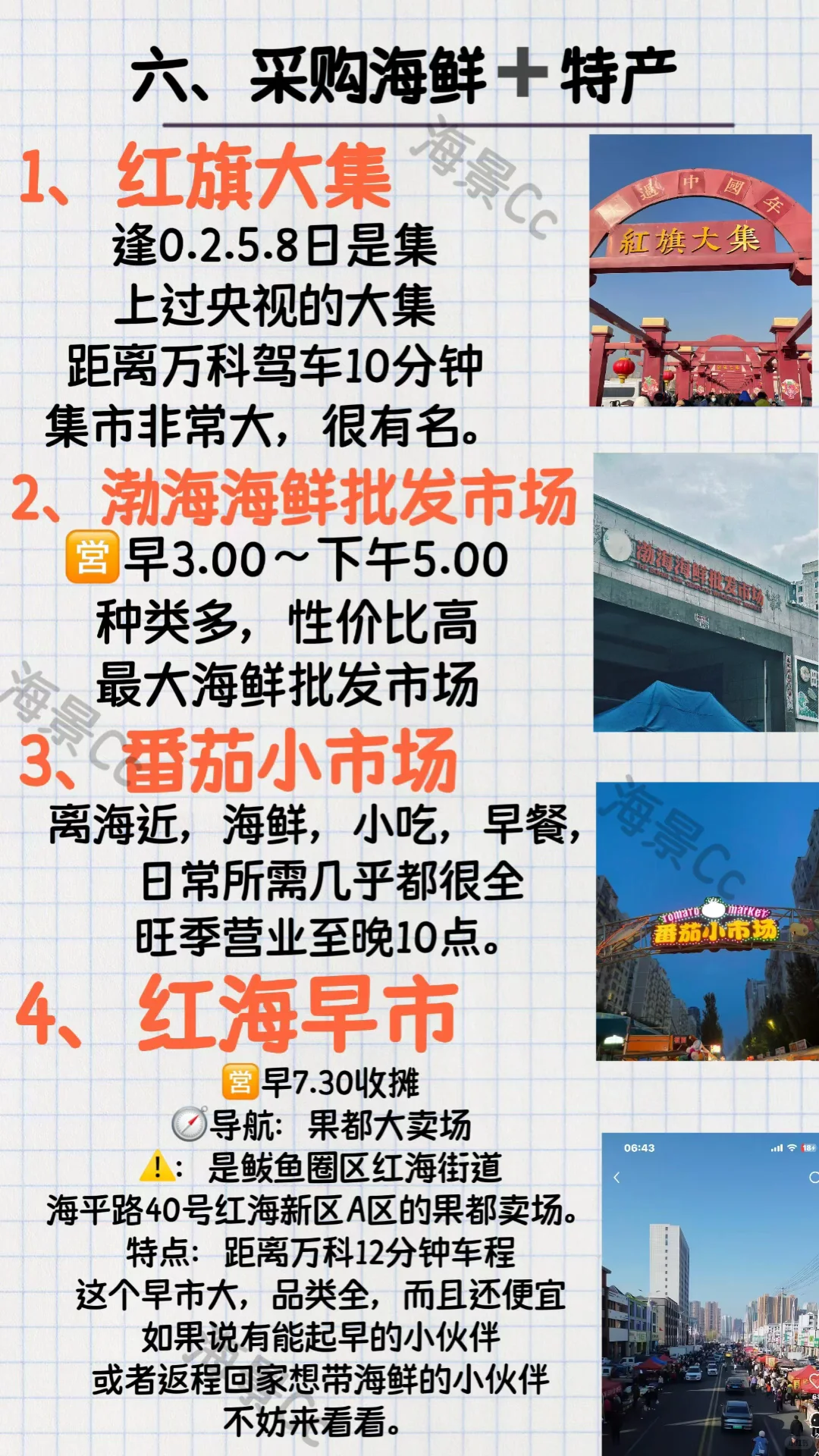2025年鲅鱼圈🔥旅游攻略合集（避坑指南）