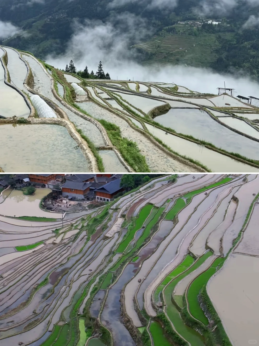 贵州旅游必去十大景点✨新手必看