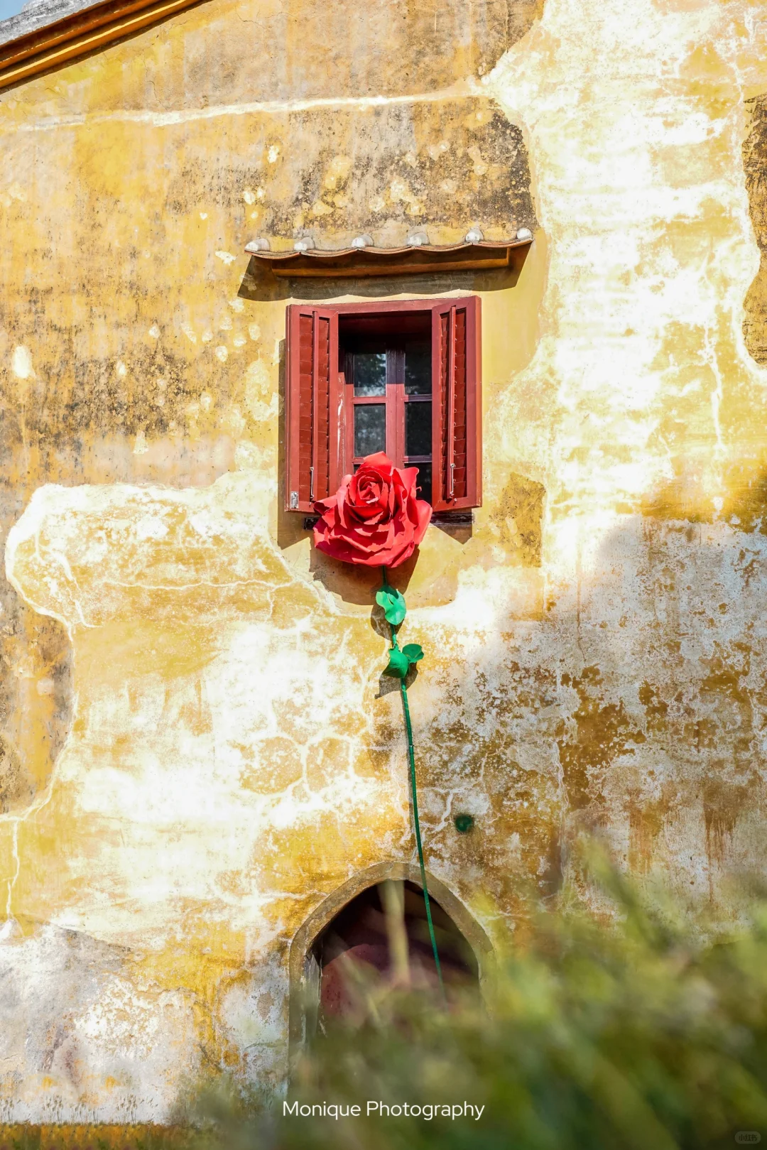 涠洲岛松弛感太爱了‼️附攻略，出发前先看