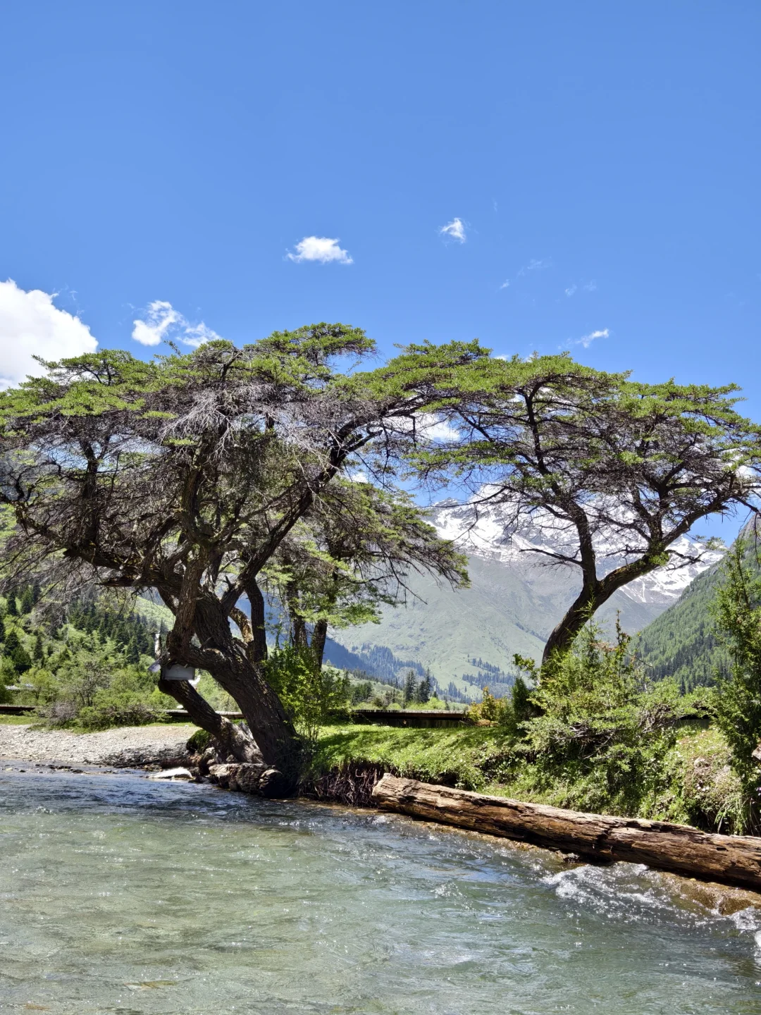 6-15 的四姑娘山可以封神了