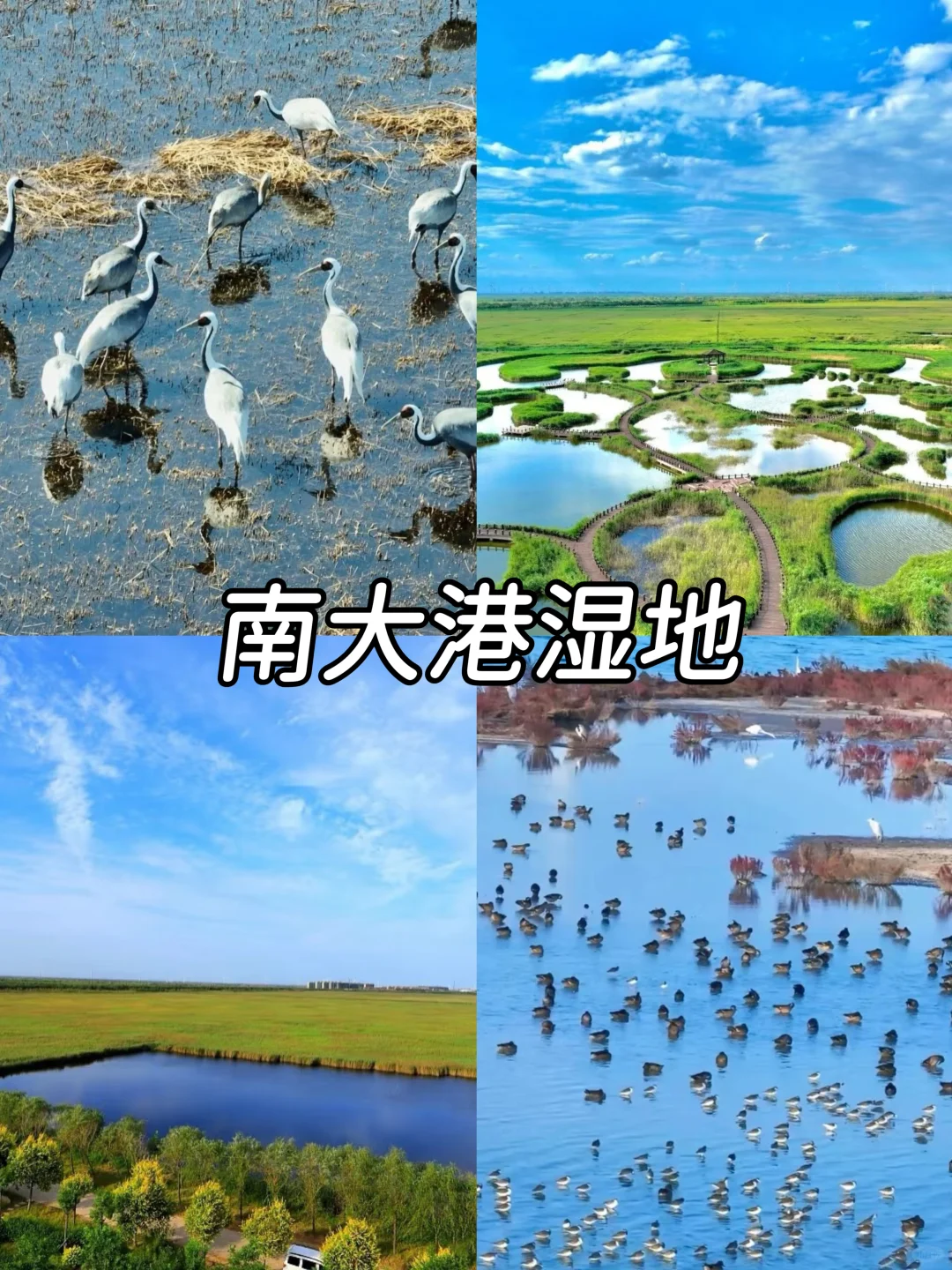 沧州旅游，一定要去的9大景点