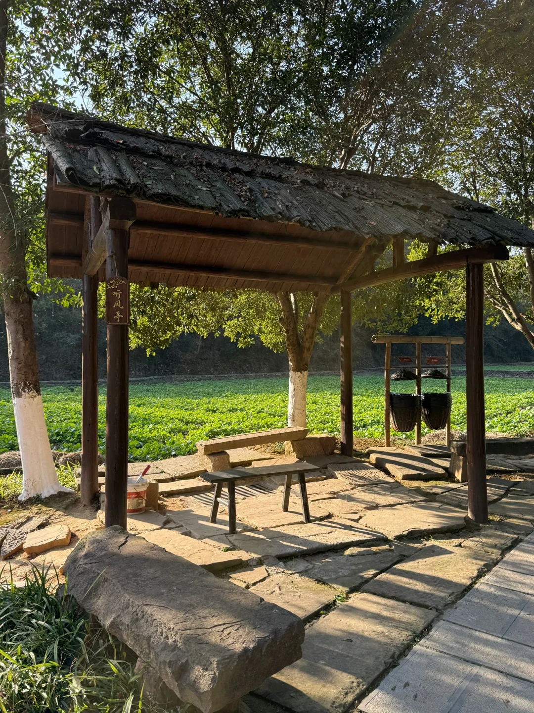 一图教你不走回头路走遍桃花源，只需2h（上）