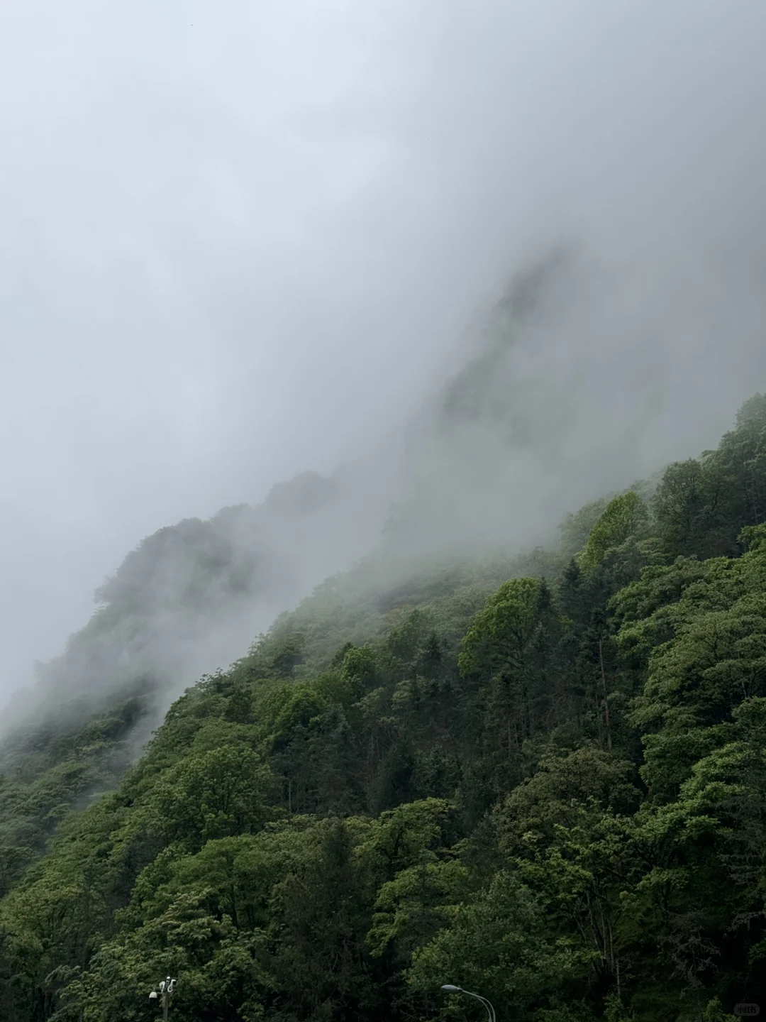 冷到打摆子的避暑地！现在人还不多！快冲！