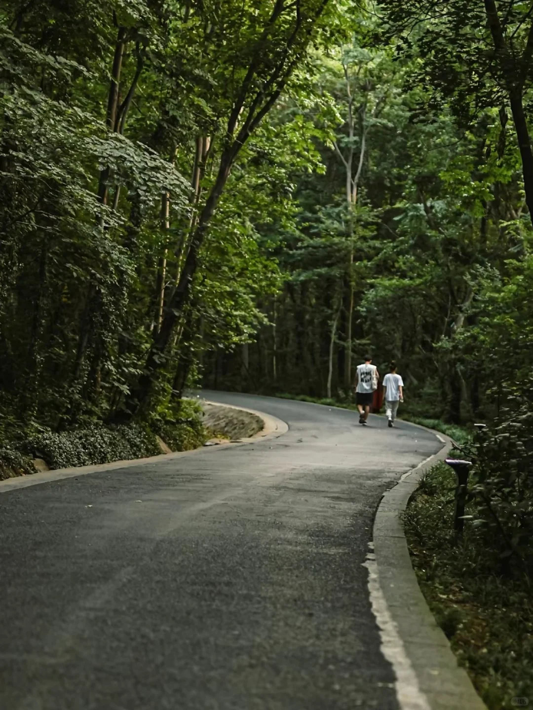 合肥必去十大景点❗️新手必看❗️❗️附旅游攻略