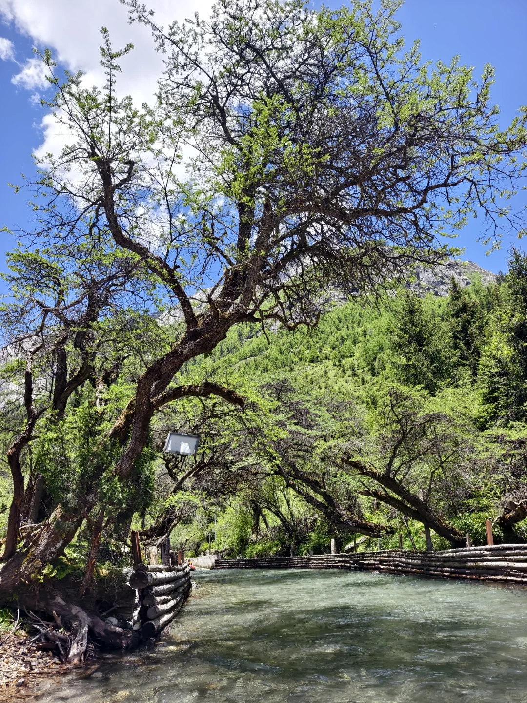 6-15 的四姑娘山可以封神了