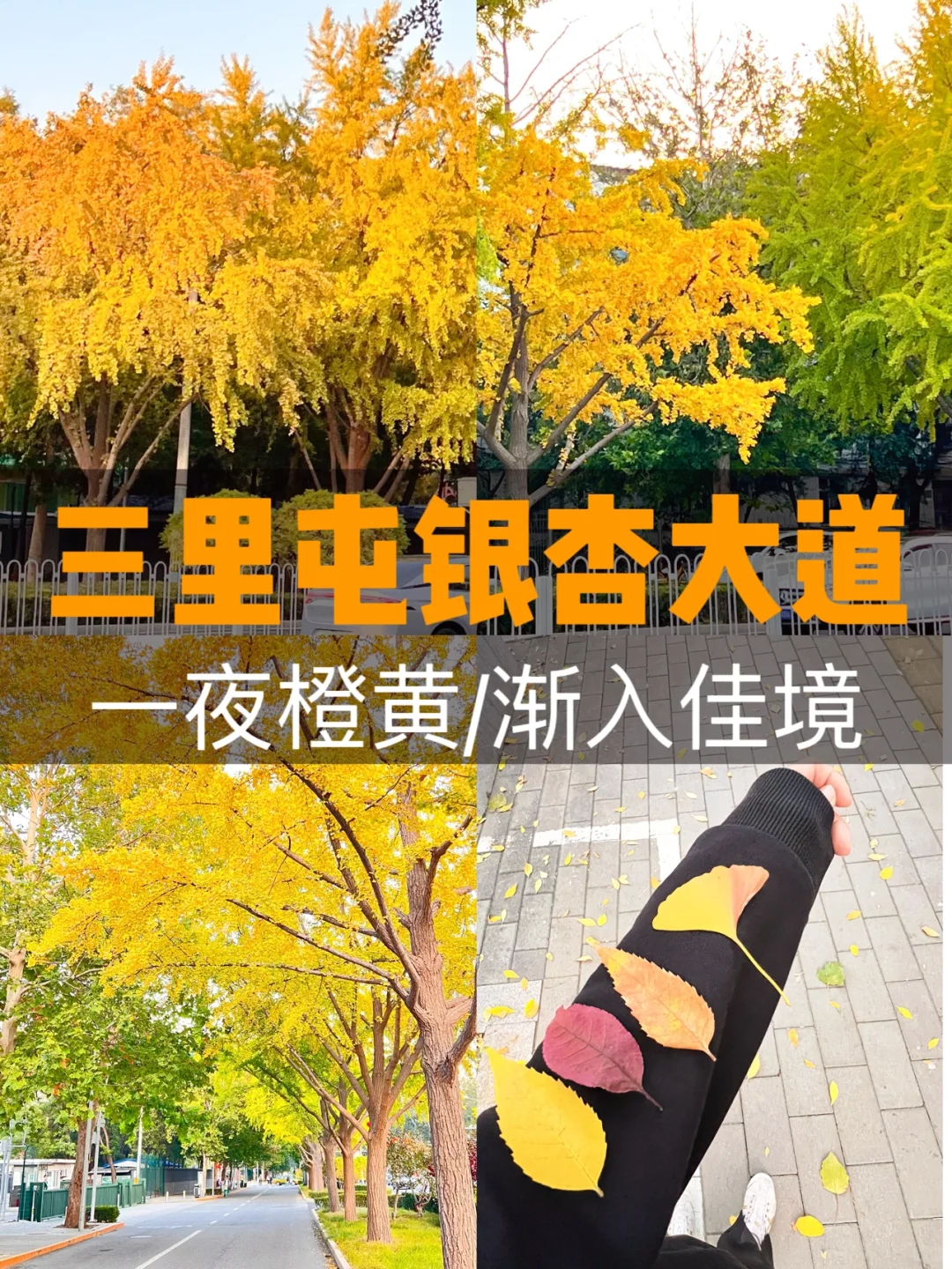 📍北京City Walk，经典必逛，就这5条！附地图